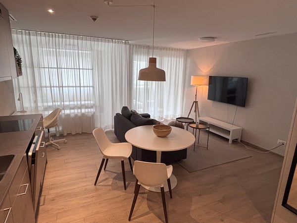 1½ ZI-WOHNUNG IN NEUHAUSEN AM RHEINFALL (SH), MÖBLIERT, TEMPORÄR 3