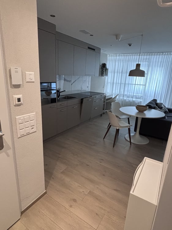 1½ ZI-WOHNUNG IN NEUHAUSEN AM RHEINFALL (SH), MÖBLIERT, TEMPORÄR 4