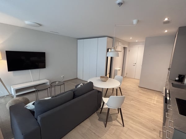 1½ ZI-WOHNUNG IN NEUHAUSEN AM RHEINFALL (SH), MÖBLIERT, TEMPORÄR 1