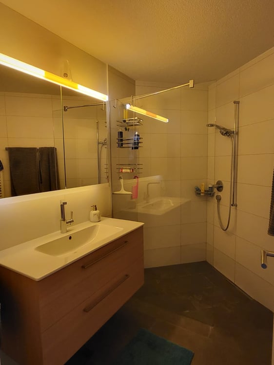 2½ ZI-WOHNUNG IN HORW (LU), MÖBLIERT, TEMPORÄR 7
