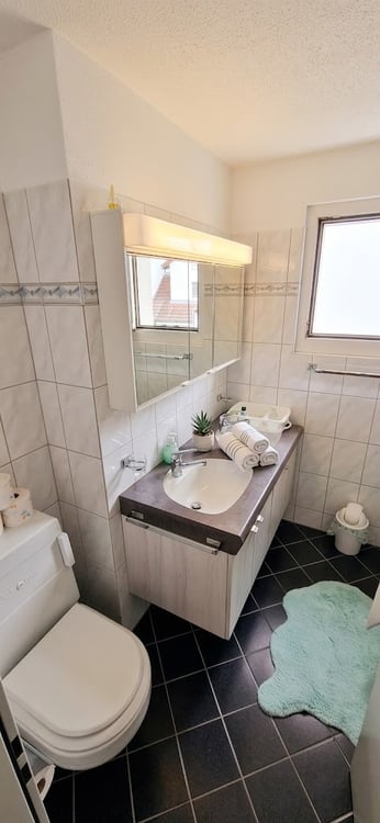 3½ ZI-WOHNUNG IN LANGWIESEN (ZH), MÖBLIERT, TEMPORÄR 9