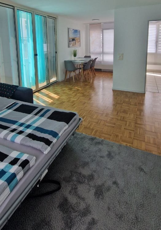3½ ZI-WOHNUNG IN LANGWIESEN (ZH), MÖBLIERT, TEMPORÄR 2