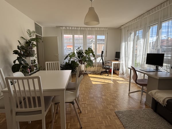 2 ZI-WOHNUNG IN BASEL - GUNDELDINGEN, MÖBLIERT, TEMPORÄR 2