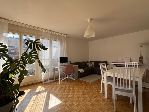2 ZI-WOHNUNG IN BASEL - GUNDELDINGEN, MÖBLIERT, TEMPORÄR 1