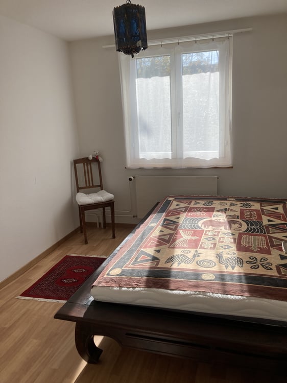 2 ZIMMER-HAUS IN ZÜRICH - KREIS 11 AFFOLTERN, MÖBLIERT, TEMPORÄR 4