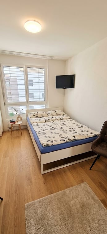 STUDIO IN LANGWIESEN (ZH), MÖBLIERT, TEMPORÄR 3