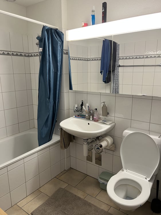 2½ ZI-WOHNUNG IN ZÜRICH - KREIS 11, MÖBLIERT, TEMPORÄR 7