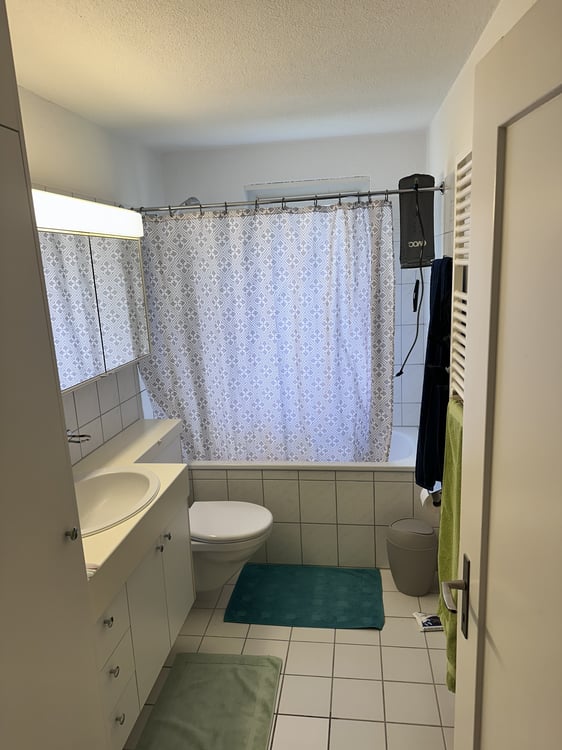 2½ ZI-WOHNUNG IN LUZERN, MÖBLIERT, TEMPORÄR 4