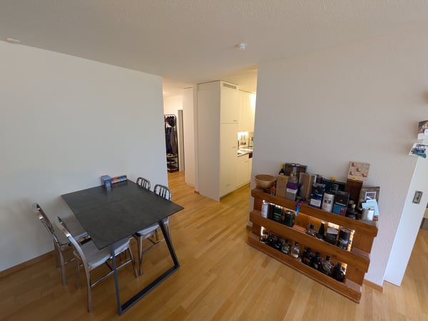 2 ZI-WOHNUNG IN LUZERN, MÖBLIERT, TEMPORÄR 3