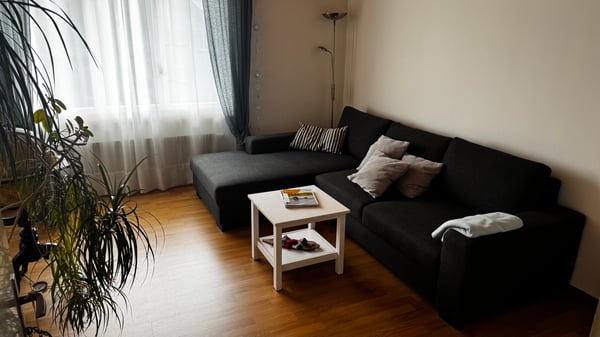 2½ ZI-WOHNUNG IN THUN (BE), MÖBLIERT, TEMPORÄR 1