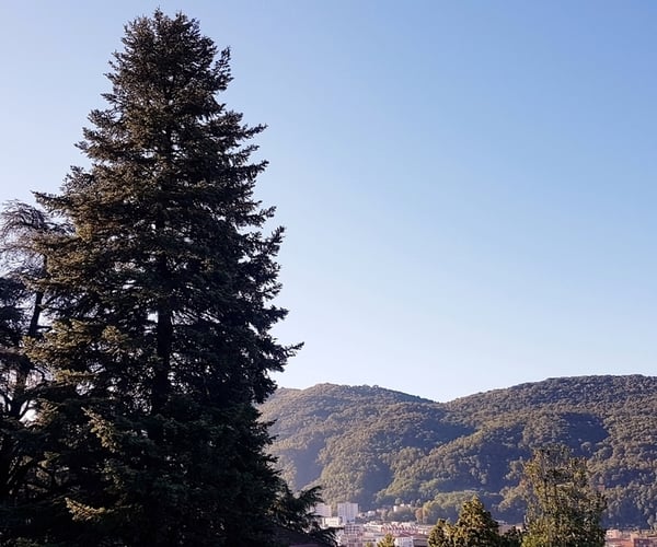 1½ ZI-WOHNUNG IN VACALLO (TI), MÖBLIERT 10