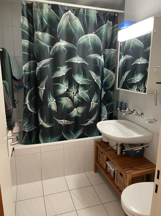 3½ ZI-WOHNUNG IN LUZERN, MÖBLIERT, TEMPORÄR 6