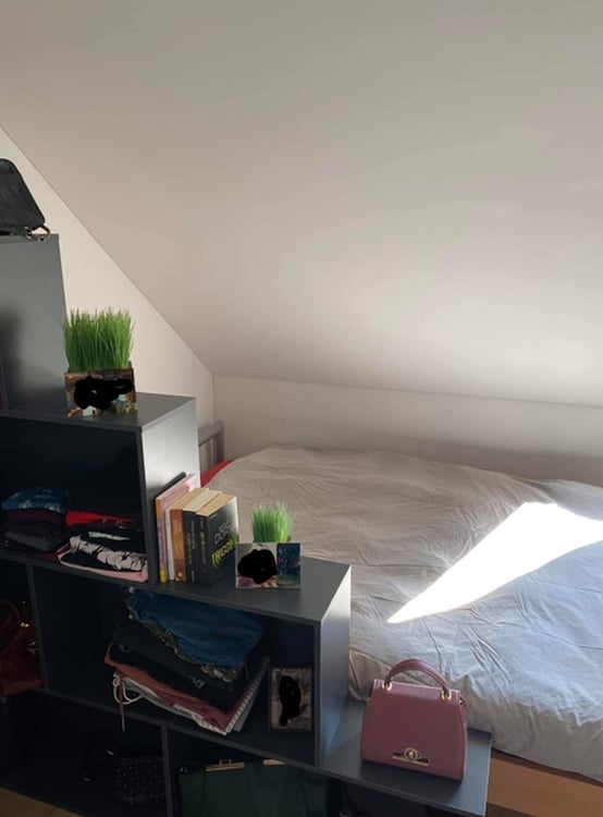 3½ ZI-WOHNUNG IN EMBRACH (ZH), MÖBLIERT, TEMPORÄR 6