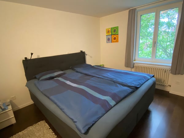 6½ ZI-WOHNUNG IN METTMENSTETTEN (ZH), MÖBLIERT, TEMPORÄR 6