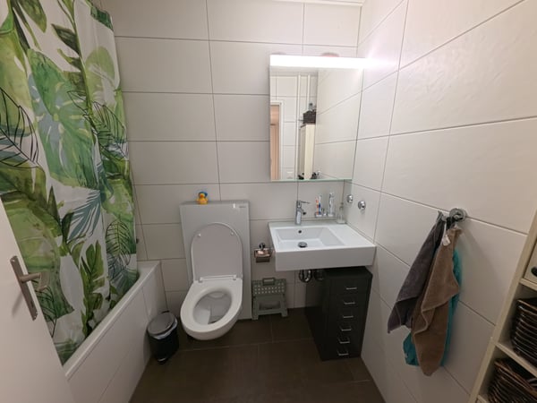 3½ ZI-WOHNUNG IN LUZERN, MÖBLIERT, TEMPORÄR 9