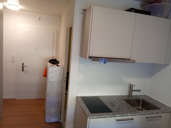 1½ ZI-WOHNUNG IN LUZERN, MÖBLIERT, TEMPORÄR 1
