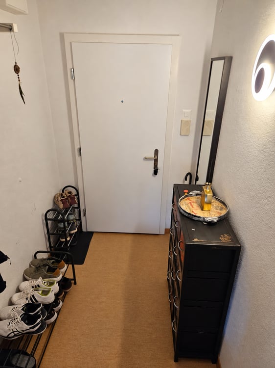 2½ ZI-WOHNUNG IN ZÜRICH - KREIS 3 TRIEMLI, MÖBLIERT, TEMPORÄR 5
