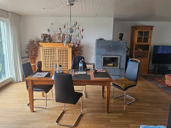 4 ZIMMER-HAUS IN FREIDORF (TG), MÖBLIERT 1