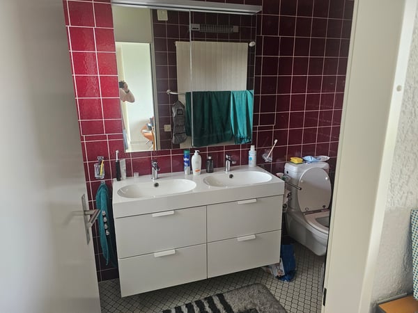 4 ZIMMER-HAUS IN FREIDORF (TG), MÖBLIERT 7