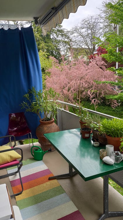 4 ZI-WOHNUNG IN BERN - ELFENAU/BRUNNADERN, MÖBLIERT, TEMPORÄR 8
