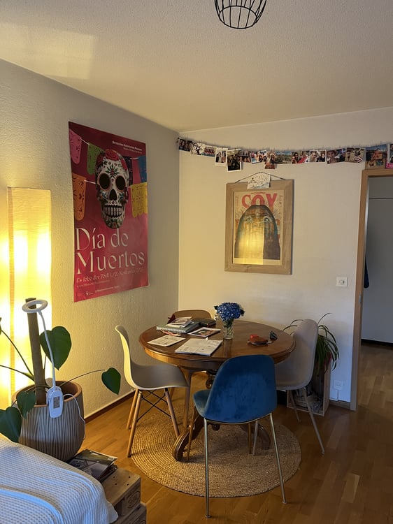 2½ ZI-WOHNUNG IN BERN - BÜMPLIZ, MÖBLIERT, TEMPORÄR 2