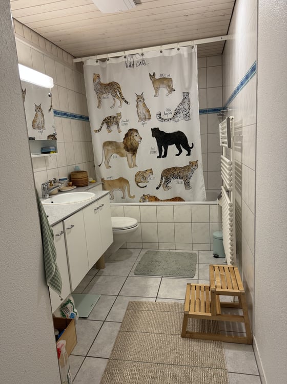 4 ZI-WOHNUNG IN BERN - BREITENRAIN, MÖBLIERT, TEMPORÄR 8
