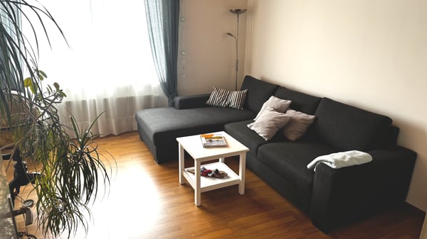 2½ ZI-WOHNUNG IN THUN (BE), MÖBLIERT, TEMPORÄR 1