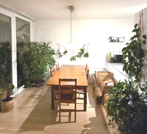 5½ ZI-WOHNUNG IN ZÜRICH - KREIS 11 AFFOLTERN, MÖBLIERT, TEMPORÄR 3