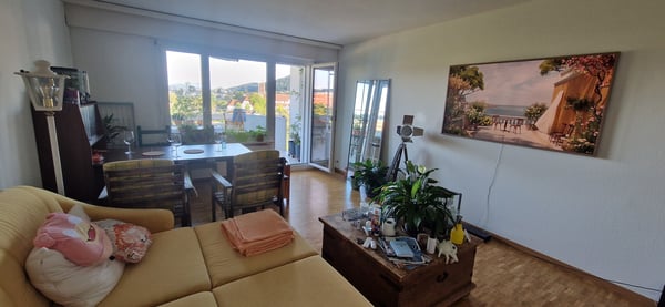 3½ ZI-WOHNUNG IN NEUENHOF (AG), MÖBLIERT, TEMPORÄR 2