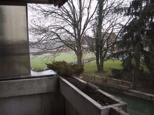 Ruhige Wohnung in gepflegtem Haus 6