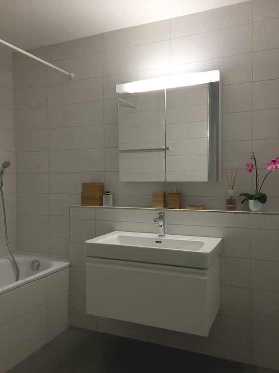 3.5-Zimmer-Attikawohnung 5
