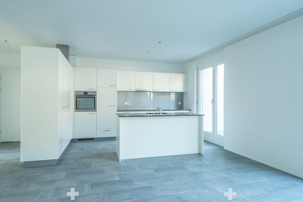4.5-Zimmer-Attika-Wohnung 1