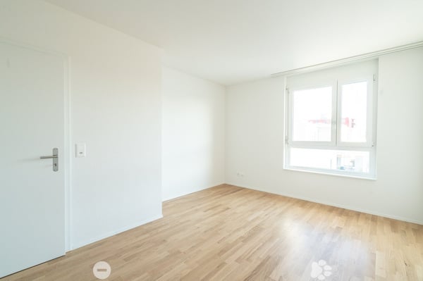 4.5-Zimmer-Attika-Wohnung 7