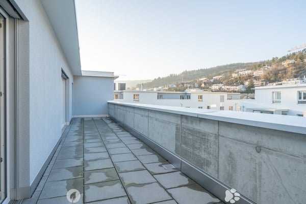 5.5-Zimmer-Attika-Wohnung 3