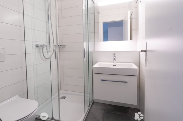 4.5-Zimmer-Attika-Wohnung 4