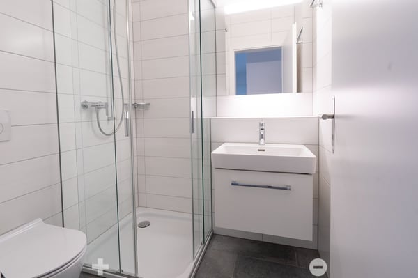 4.5-Zimmer-Attika-Wohnung 4