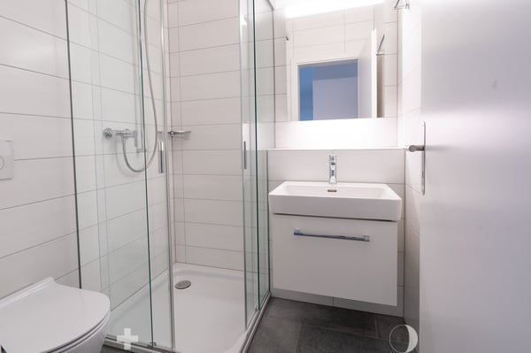 4.5-Zimmer-Attika-Wohnung 4