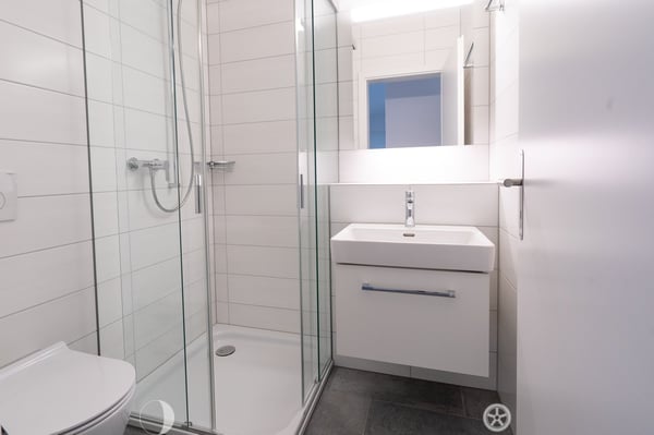 4.5-Zimmer-Attika-Wohnung 4