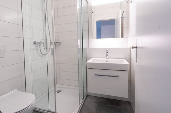4.5-Zimmer-Attika-Wohnung 4