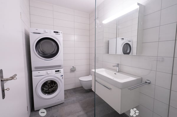 4.5-Zimmer-Attika-Wohnung 6