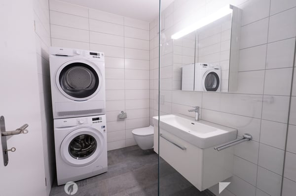 4.5-Zimmer-Attika-Wohnung 6