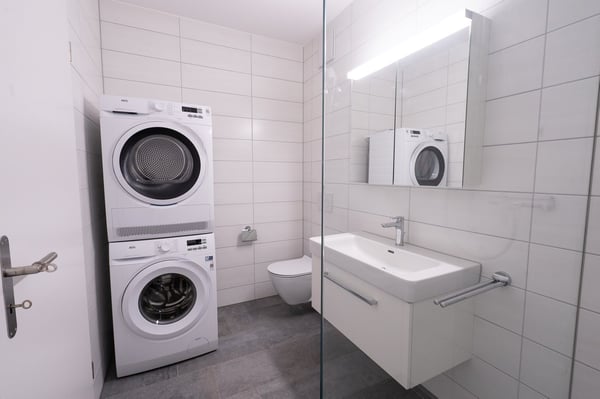 4.5-Zimmer-Attika-Wohnung 6