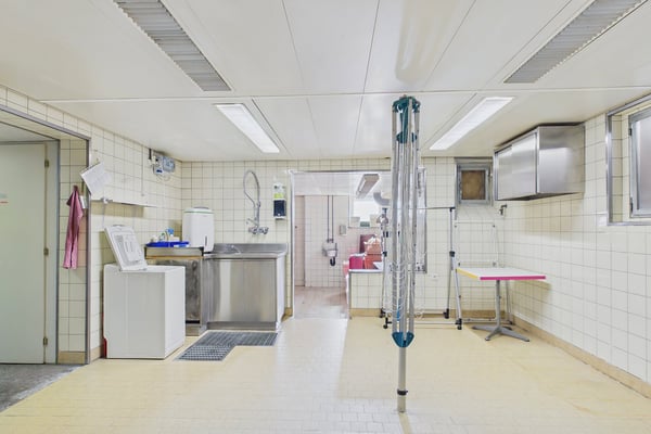 Historisches Berner Stadthaus mit einer 7.5- und einer 3-Zimmerwohnung 18