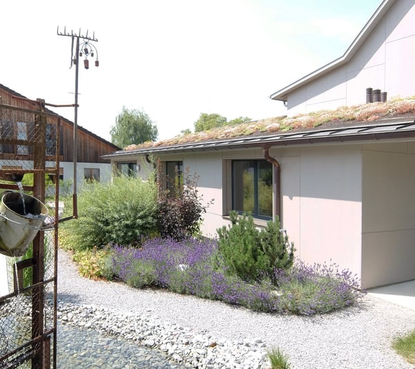 Attraktives 1.5-Zimmer EFH ruhig + zentral gelegen 2