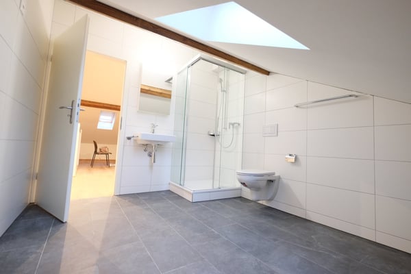 Traumhafte 5.5-ZimmerDACHwohnung mit riesiger Terrasse (60m2) an zentraler Lage (Altbau) 16