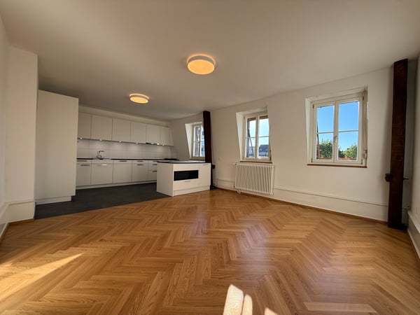 Traumhafte 5.5-ZimmerDACHwohnung mit riesiger Terrasse (60m2) an zentraler Lage (Altbau) 3