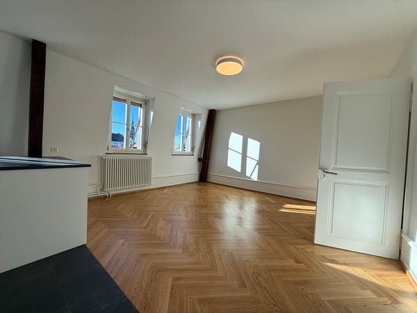 Traumhafte 5.5-ZimmerDACHwohnung mit riesiger Terrasse (60m2) an zentraler Lage (Altbau) 4