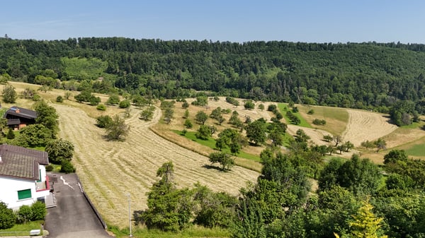 Baulandparzelle mit Weitblick 4