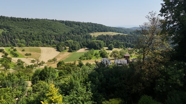 Baulandparzelle mit Weitblick 5