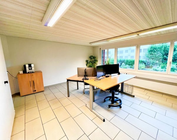 Grosszügige Büroräumlichkeiten im EG & UG 14